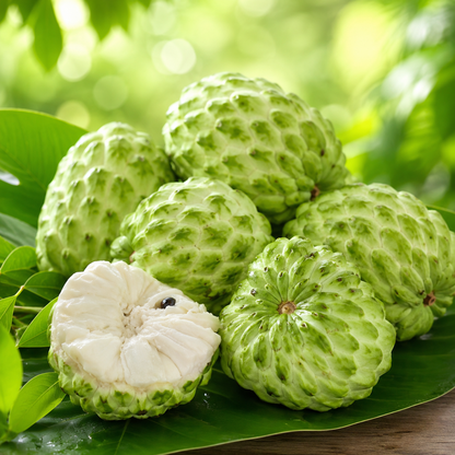 Fruits suitable for most people and with low sugar content-Grow Your Own Sweet Tropical Sugar Apples at Home-WR