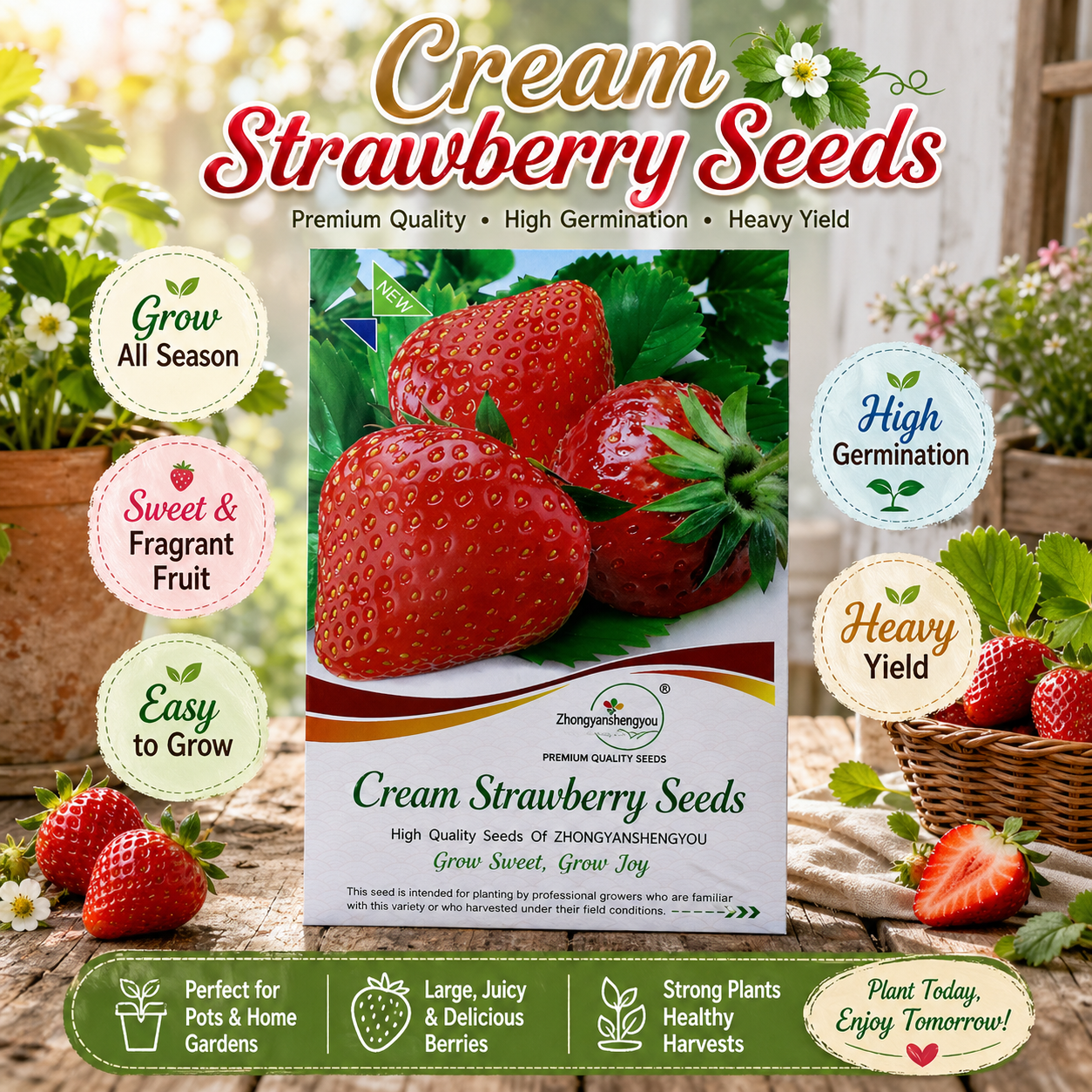 Four Seasons Easy-Grow Creamy Red Strawberry Seed - Home Container Plant-ZP