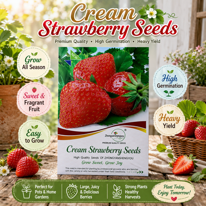 Four Seasons Easy-Grow Creamy Red Strawberry Seed - Home Container Plant-ZP