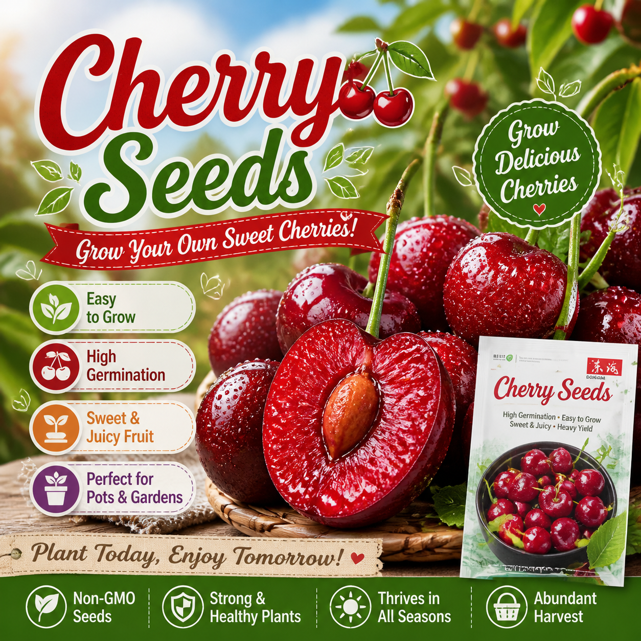 Grow Your Own Sweet & Juicy Cherries，Premium Quality Cherry Seeds for Home Gardens-ZP
