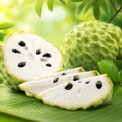 Fruits suitable for most people and with low sugar content-Grow Your Own Sweet Tropical Sugar Apples at Home-WR