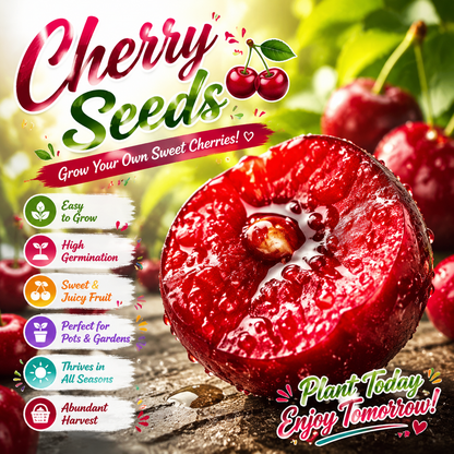 Grow Your Own Sweet & Juicy Cherries，Premium Quality Cherry Seeds for Home Gardens-ZP