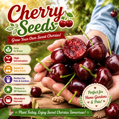 Grow Your Own Sweet & Juicy Cherries，Premium Quality Cherry Seeds for Home Gardens-ZP