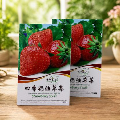 Four Seasons Easy-Grow Creamy Red Strawberry Seed - Home Container Plant-ZP