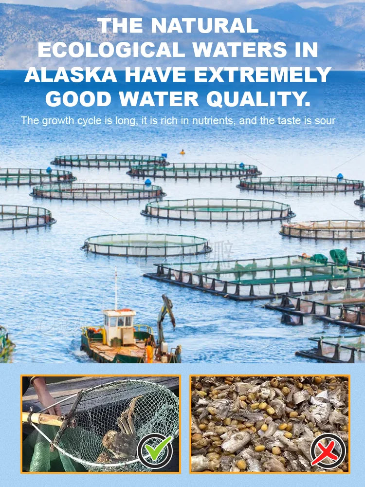 Alaskan Snow Crab Ready-to-EatCrispy Crab-WR