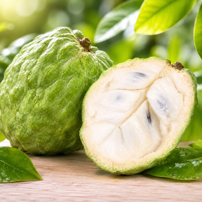 Fruits suitable for most people and with low sugar content-Grow Your Own Sweet Tropical Sugar Apples at Home-WR